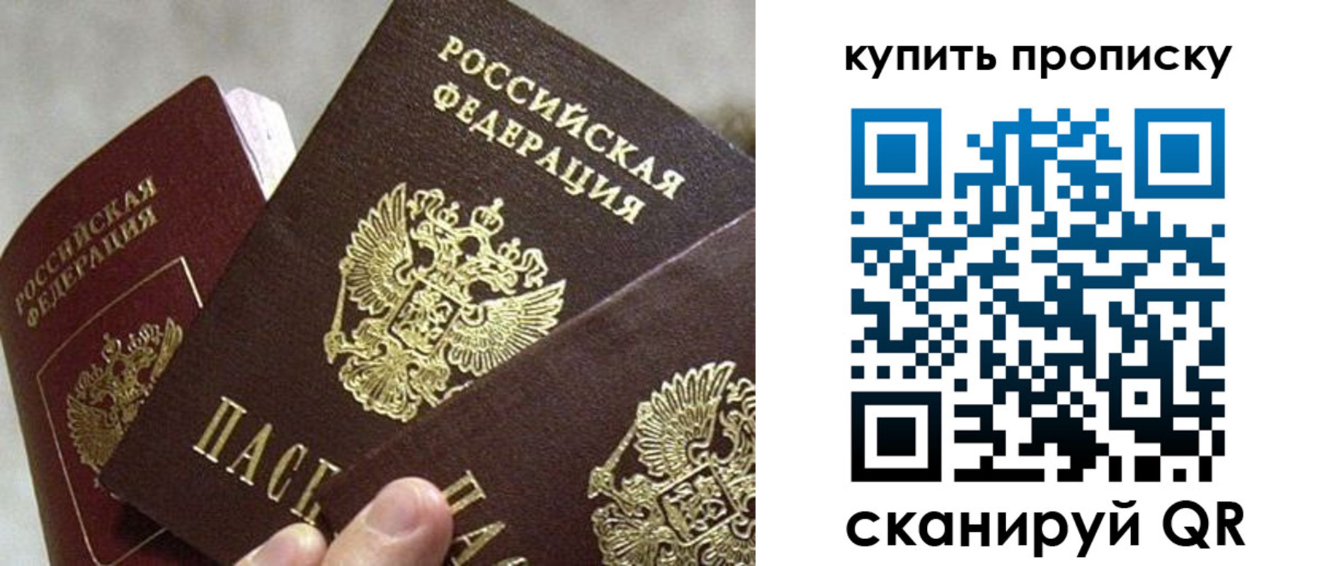 прописка для школы в Братске